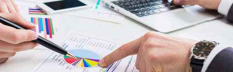 Bağımsız Denetim Danışmanlığı